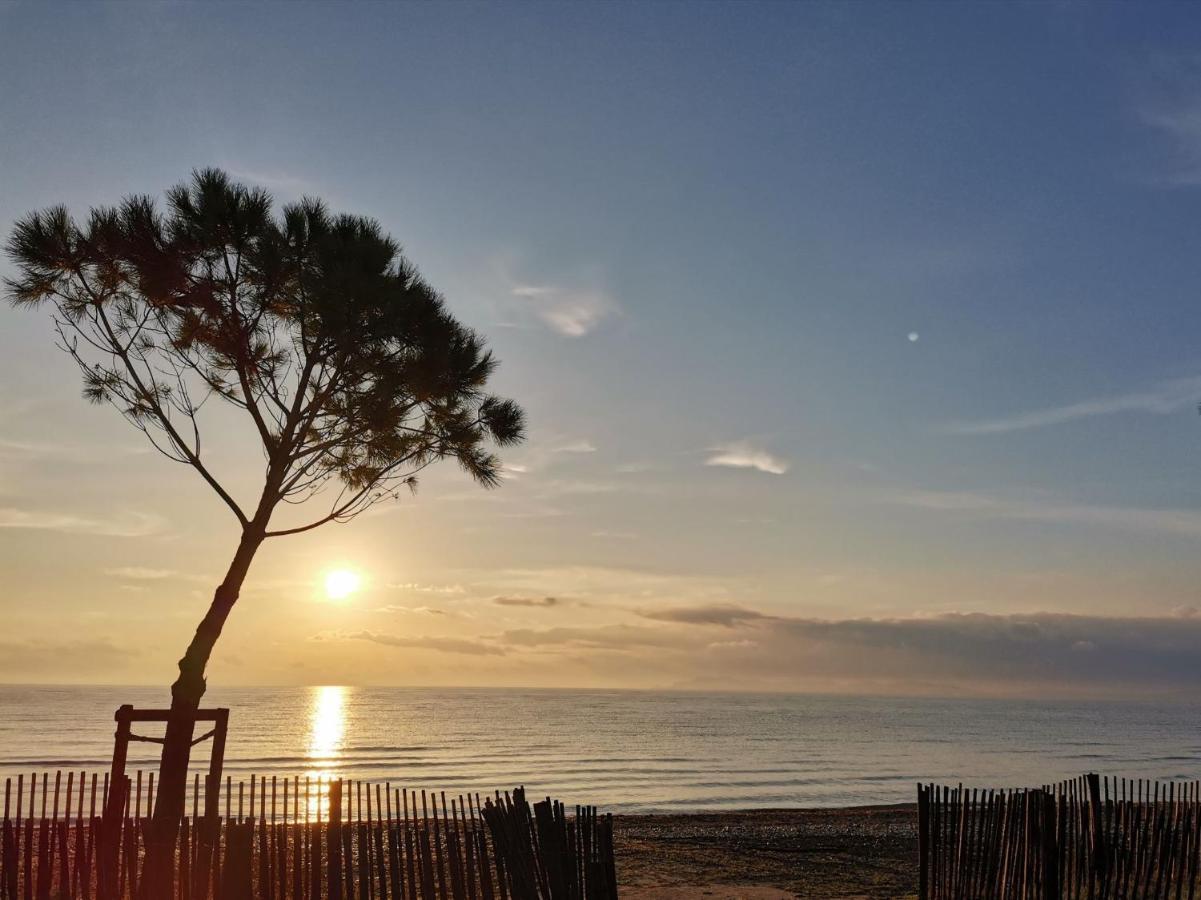 Duplex Hyeres Port公寓 外观 照片